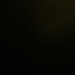 Meet your Posher, Mona